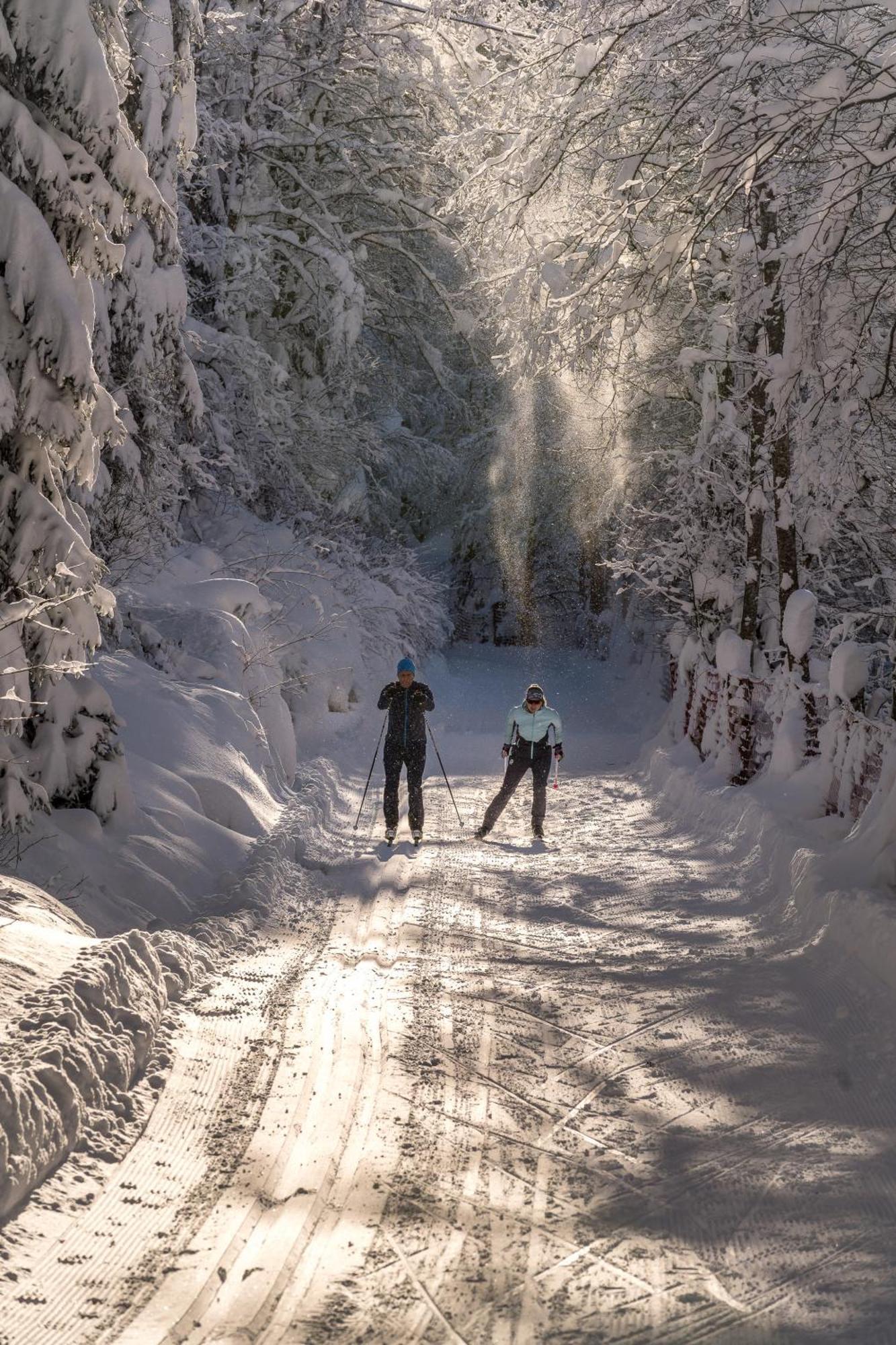 Natur- & Wanderhotel Tuxertal Экстерьер фото